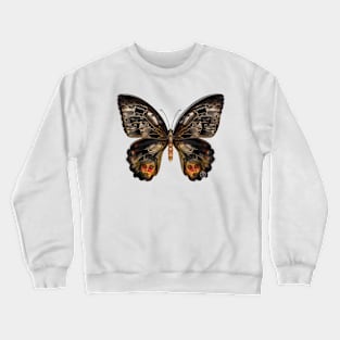 Mirror Image Crewneck Sweatshirt